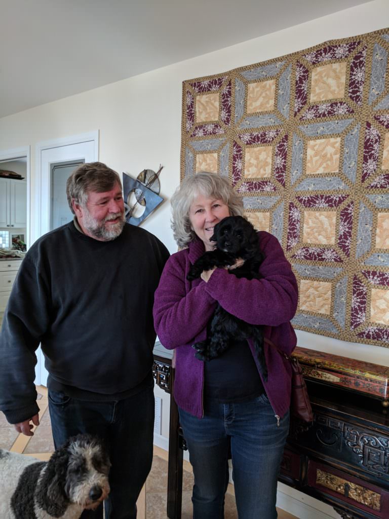 Man and wife holding labradoodle puppy