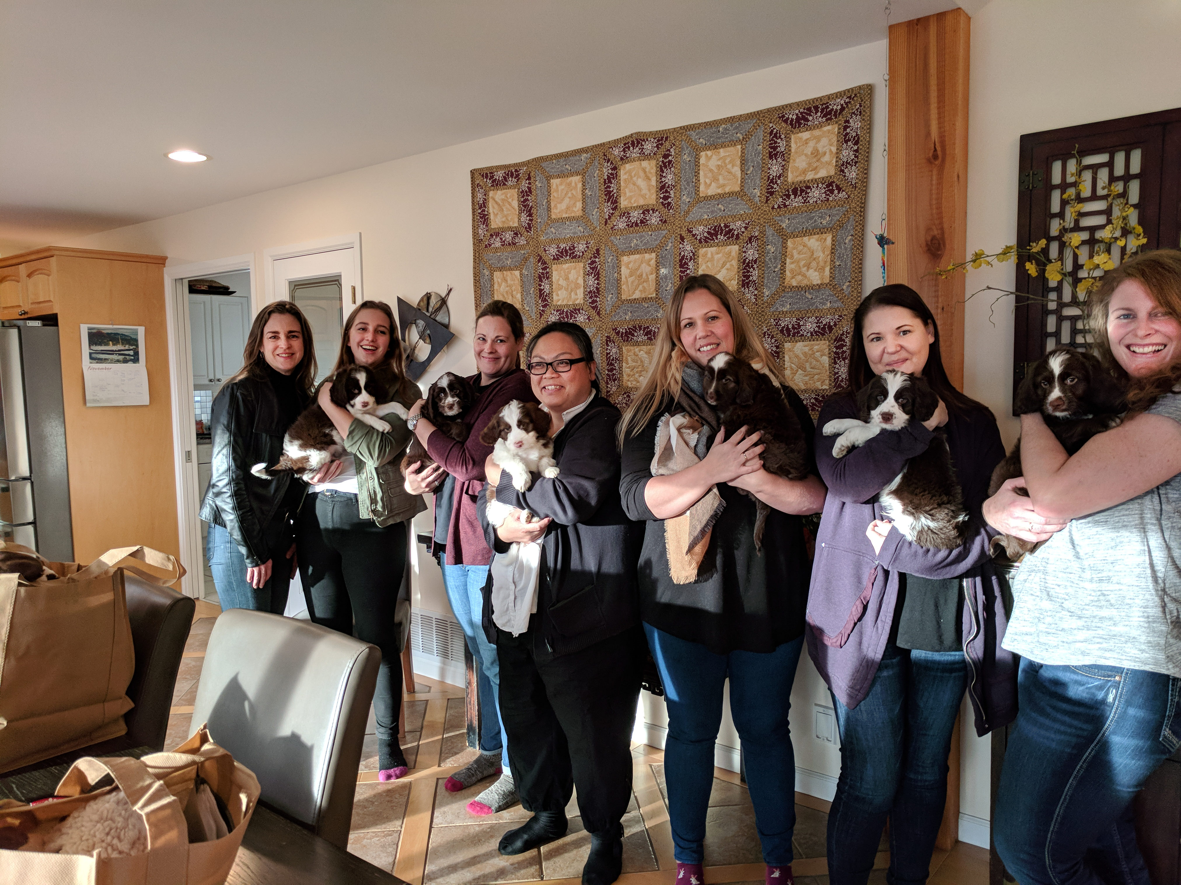 Six new Labradoodle Moms with their new Labradoodle Puppies