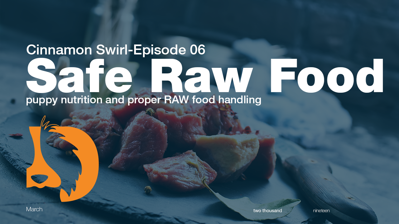Safe Raw Food thumbnail from Van Isle Labradoodle youtube page