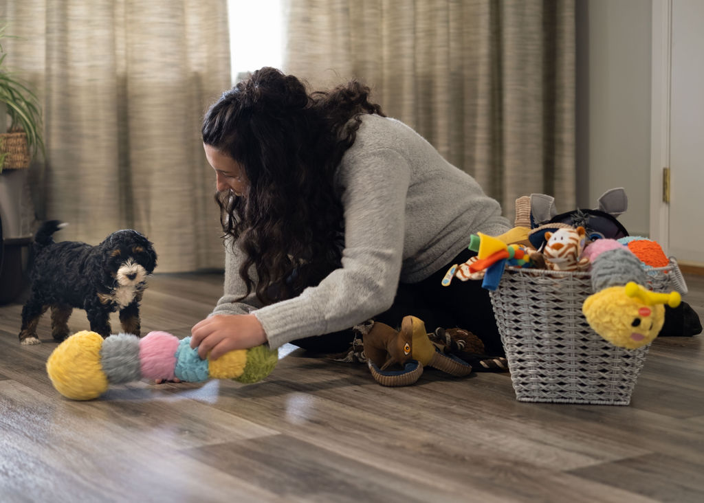 Woman playing with the toy and puppy from a different angle