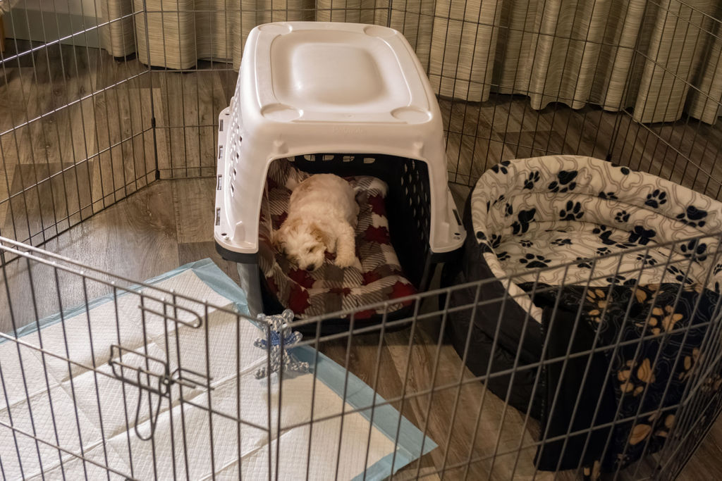 Another view of all the items included with a clearer view of the Xpen. puppy is asleep in this one.