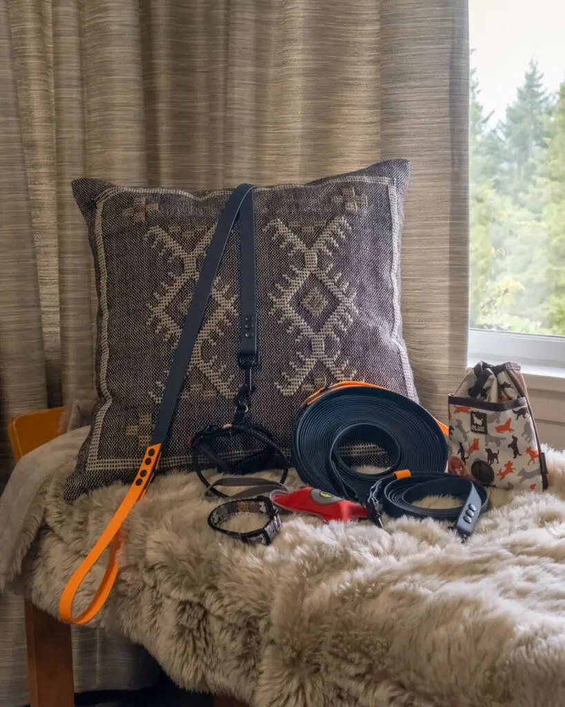 leashes, collar, treat pouch and the other items displayed on a bench with a pillow and blanket next to a window with light streaming in in.