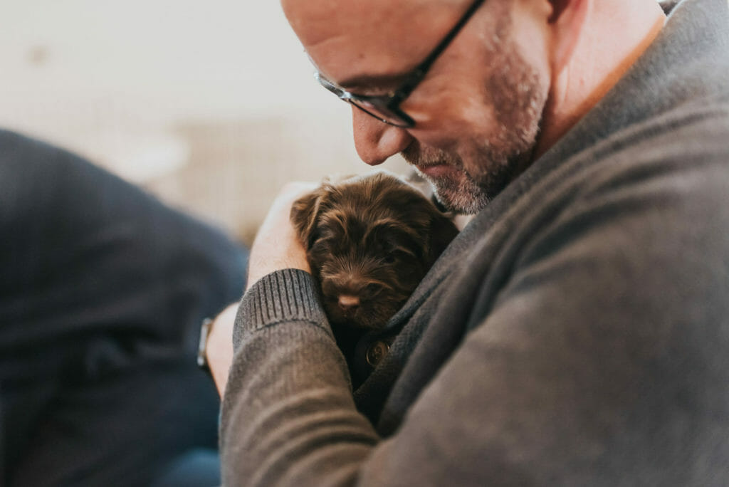 A man holds a chocolate labradoodle puppy in his arms. He is looking down with caring eyes at the puppy. The man is wearing a green sweater and is wearing glasses