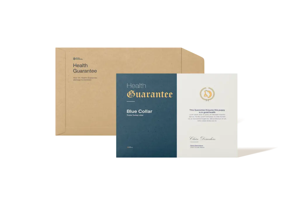 A Blue and Cream health Guarantee document mock up. Looks very official :)