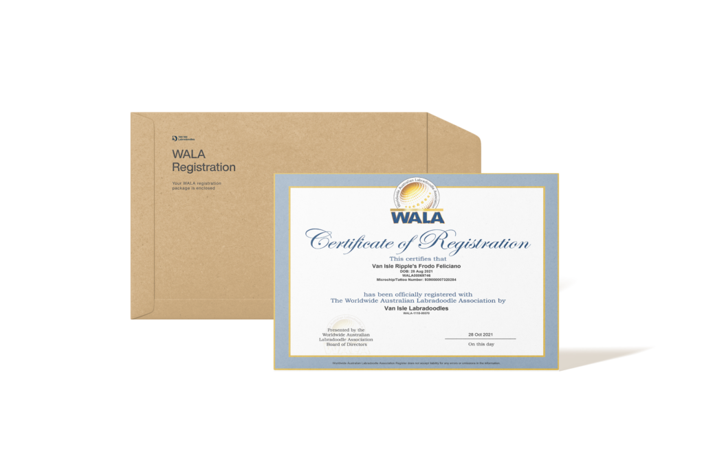 AN Official WALA registration DOcument example mocked up with a plain brown envelope