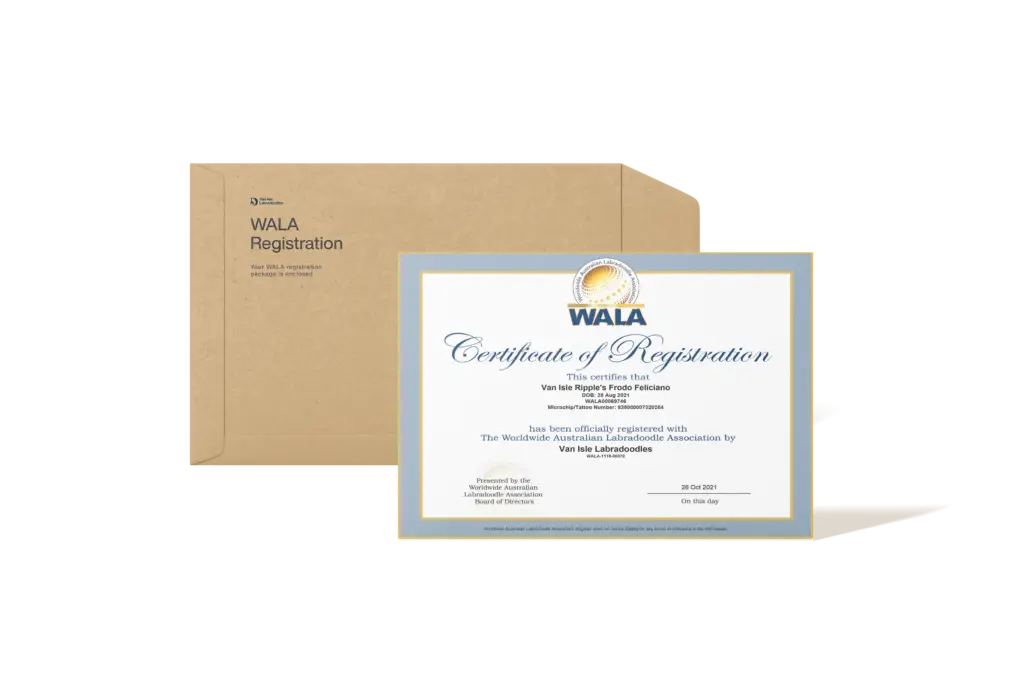 AN Official WALA registration DOcument example mocked up with a plain brown envelope
