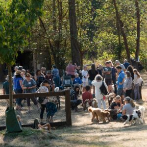 A photo from far back of all the people congregating at the reunion