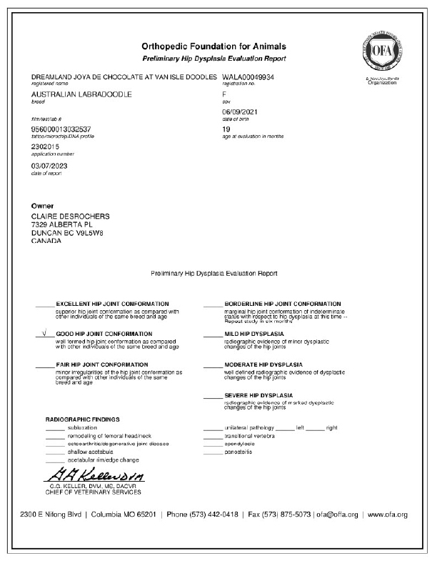Image of OFA's report showing Joya has "Good" hips. Just a formal document form.